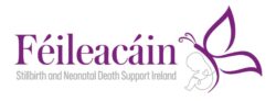 Féileacáin