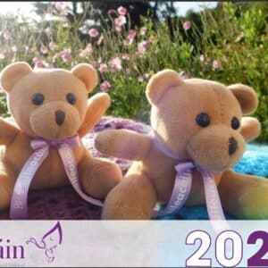 Féileacáin 2026 Calendar